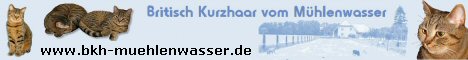 bkh-muehlenwasser.jpg